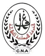CNA logo 2