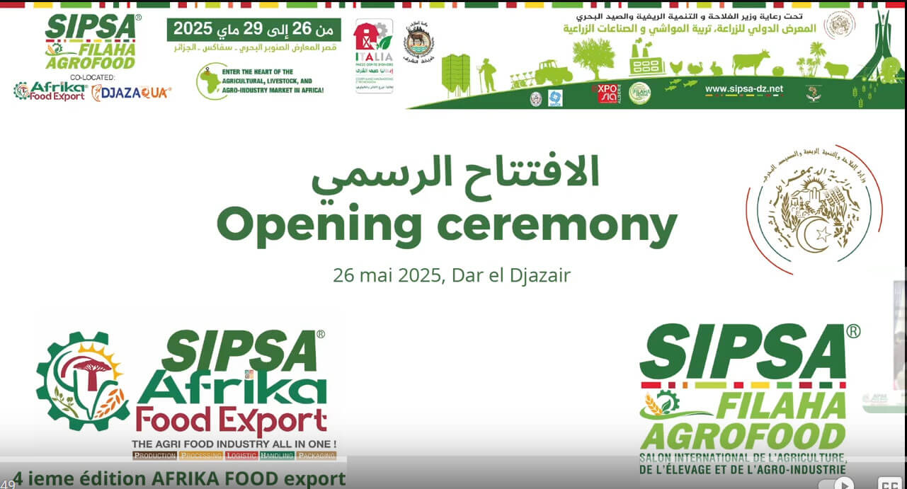 Exhibition opening 2025